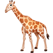 Emoji 🦒 Giraffa su Facebook 14.0.