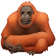 Emoji 🦧 Orangotango su Facebook 14.0.