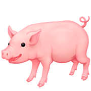 🐖 Emoji Schwein Facebook 14.0.