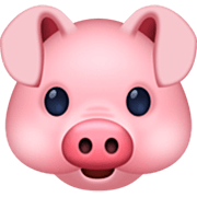 🐷 Emoji Cara De Cerdo en Facebook 14.0.