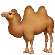 🐫 Emoji Camello en Facebook 14.0.