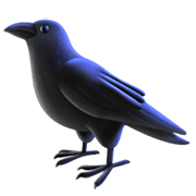Émoji 🐦‍⬛ Oiseau Noir sur Facebook 15.0.
