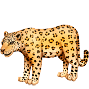🐆 Emoji Leopard Facebook 15.0.