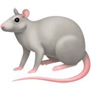 Émoji 🐀 Rat sur Facebook 15.0.