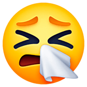 🤧 Emoji niesendes Gesicht Facebook 15.0.