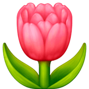 Emoji 🌷 Tulipano su Facebook 15.0.