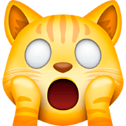 Emoji 🙀 Gatto Esterrefatto su Facebook 15.0.