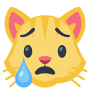 Emoji 😿 Gatto Che Piange su Facebook 2.1.