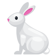 🐇 Emoji Conejo en Facebook 2.1.