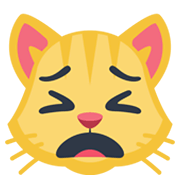 🙀 Emoji Gato Asustado en Facebook 2.1.