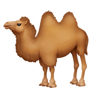 Émoji 🐫 Chameau sur Facebook 3.0.