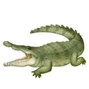 Émoji 🐊 Crocodile sur Facebook 3.0.