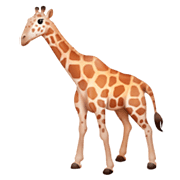 Emoji 🦒 Giraffa su Facebook 3.0.