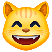 😸 Emoji Rosto De Gato Sorrindo Com Olhos Sorridentes na Facebook 3.0.