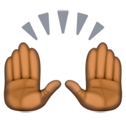 🙌🏿 Emoji zwei erhobene Handflächen: dunkle Hautfarbe Facebook 3.0.