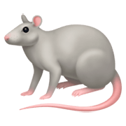 Émoji 🐀 Rat sur Facebook 3.0.