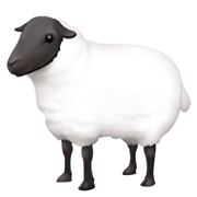 Émoji 🐑 Mouton sur Facebook 3.0.