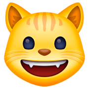 😺 Emoji grinsende Katze Facebook 3.0.