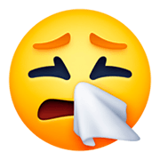 Emoji 🤧 Faccina Che Starnutisce su Facebook 3.0.