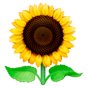 🌻 Emoji Sonnenblume Facebook 3.0.