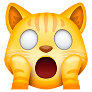 Emoji 🙀 Gatto Esterrefatto su Facebook 3.0.