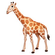 Emoji 🦒 Giraffa su Facebook 4.0.