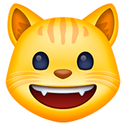 Emoji 😺 Gatto Che Sorride su Facebook 4.0.