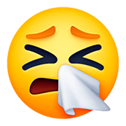 🤧 Emoji niesendes Gesicht Facebook 4.0.