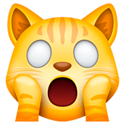 🙀 Emoji erschöpfte Katze Facebook 4.0.