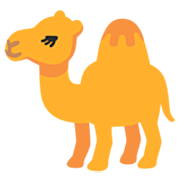 Camelo Google 15.0.