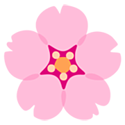 🌸 Emoji Flor De Cerezo en Google 15.0.