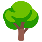 🌳 Emoji árbol De Hoja Caduca en Google 15.0.