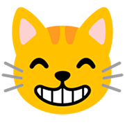 grinsende Katze mit lachenden Augen Google 15.0.