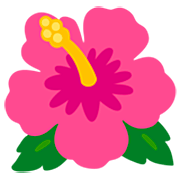 🌺 Emoji Flor De Hibisco en Google 15.0.