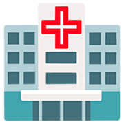 Emoji 🏥 Ospedale su Google 15.0.
