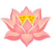 Émoji 🪷 Lotus sur Google 15.0.