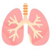 🫁 Emoji Lungen Google 15.0.