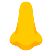 Emoji 👃 Naso su Google 15.0.