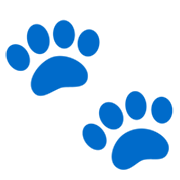 Émoji 🐾 Empreintes D’animaux sur Google 15.0.