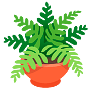 Emoji 🪴 Pianta In Vaso su Google 15.0.