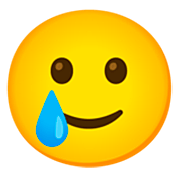 Emoji 🥲 Faccina Sorridente Con Lacrima su Google 15.0.