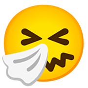 🤧 Emoji Rosto Espirrando na Google 15.0.