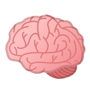 Emoji 🧠 Cervello su Google Android 10.0 March 2020 Feature Drop.