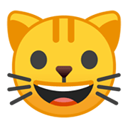Emoji 🐱 Muso Di Gatto su Google Android 10.0 March 2020 Feature Drop.