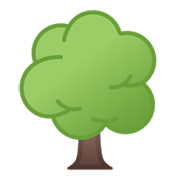 🌳 Emoji árbol De Hoja Caduca en Google Android 10.0 March 2020 Feature Drop.