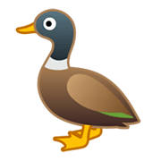 🦆 Emoji Pato na Google Android 10.0 March 2020 Feature Drop.