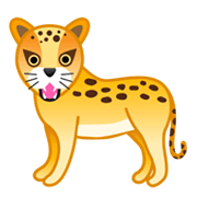 Emoji 🐆 Leopardo su Google Android 10.0 March 2020 Feature Drop.