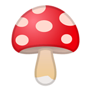 🍄 Emoji Cogumelo na Google Android 10.0 March 2020 Feature Drop.