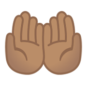 🤲🏽 Emoji Palmas Unidas Para Cima: Pele Morena na Google Android 10.0 March 2020 Feature Drop.
