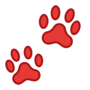 🐾 Emoji Patas na Google Android 10.0 March 2020 Feature Drop.